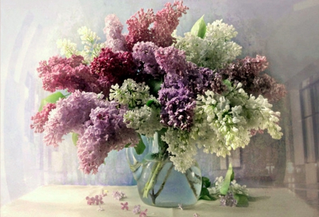 simply beautiful - lilacs, beautiful, flowers, texture, still life, vase