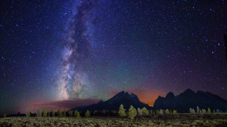 fabulous starry night - milky way, trees, mountains, stars