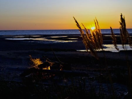 Beach Campfire - nature, campfire, beach, sunset