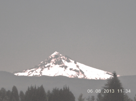 Mt. Hood - Forest, Gray, Moutntain, Washington