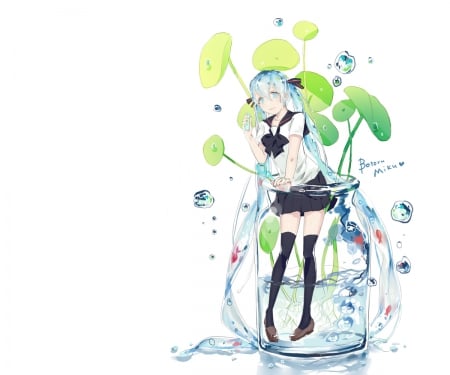 Bottle Miku - anime, vocaloid, female, bottle miku, hatsune miku, plant, long hair, plain, chibi, anime girl, bottle, water, hot, girl, simple, wet, white, miku, cute, aqua hair, hatsune, sexy, vocaloids