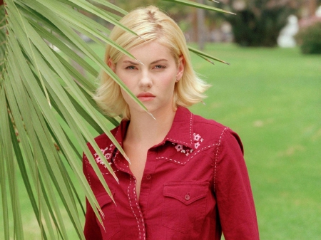 Elisha Cuthbert - actress, female, cuthbert, elisha