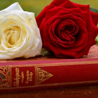 Shakespeare & roses