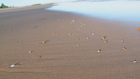 Sandy Beach - sandy beach, beach, beach ashore, beach line, beach sand