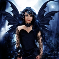 âœ«Dark Wings of Gothicâœ«