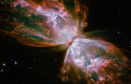 The Butterfly Nebula - butterfly, stars, pink, wings, nebula, space, black