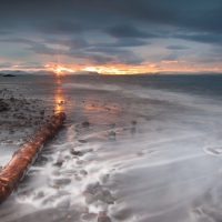 log on a misty beach in iceland