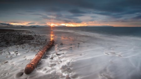 log on a misty beach in iceland - clouds, beach, stones, sunset, sea, log, mist