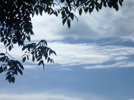 Inserare - clouds, blue, tree, sky