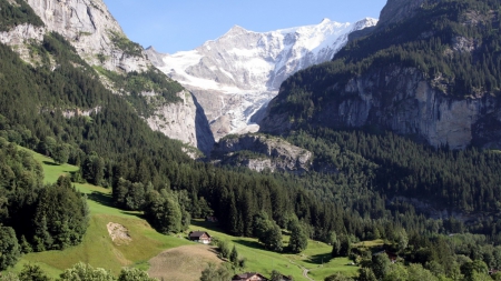 the swiss alps in summer - summer, forest, mountains, meadow, chalet