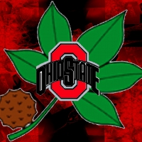 BUCKEYE AND LEAF OHIO STATE