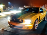 mustang