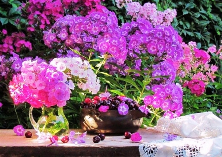 Beautiful  flowers in garden - nature, lila, pink, beautiful, flowers, brightness, garden