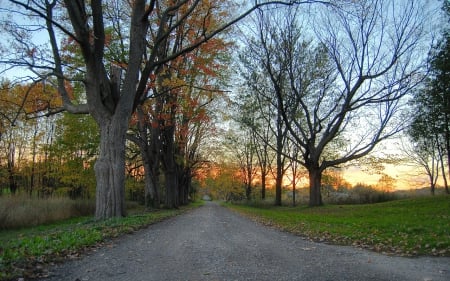 TN fall - tn, fall, trees, photos by debbie stone-johnston