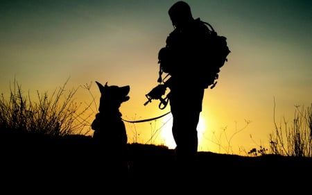 War dog - police, war dog, malinois, german shepherd