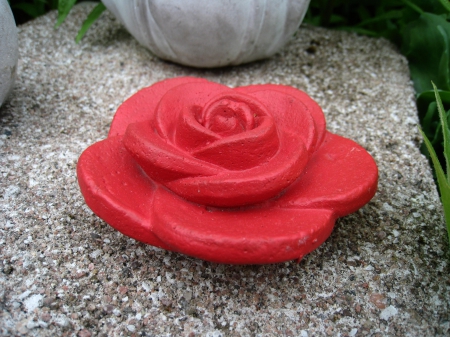 Red Rose - stone, garden, red, rose, concrete