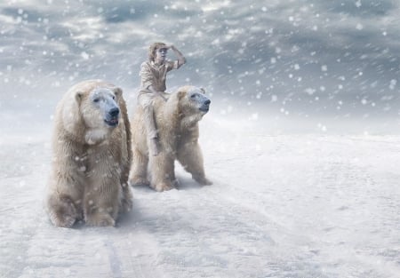 King of the polar bears - polar bear, boy, kid, snow, art