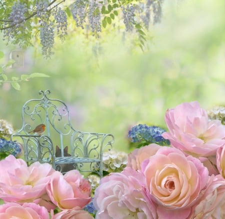 Garden dream - wisteria, roses, soft, flowers, dreamy, garden, bird