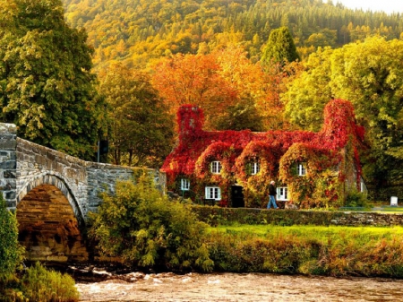 The house on the river - house, architecture, fall season, river