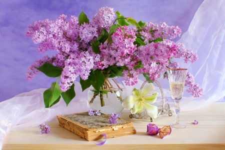 Beauty of Lilacs - flowers, book, beauty, lilacs, still life