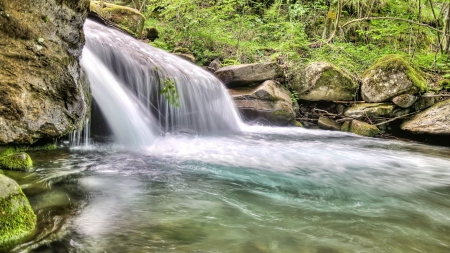 wonderful flowing waterfall - waterfall, pool, flowing, plants, rocks