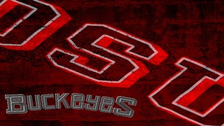 OSU BUCKEYES - ohio, football, state, buckeyes