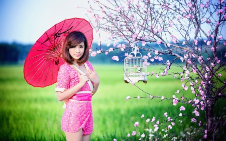 Oriental Pink - oriental, pink, beauty, model