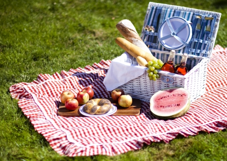 Picnic Time - food, Time, holiday, Picnic