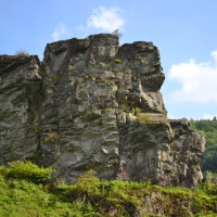 la roche