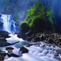 Forest Waterfall, Taiwan