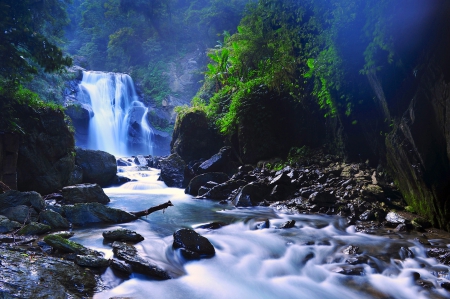 Forest Waterfall, Taiwan - China, Nature, Waterfall, Forest, Rocks