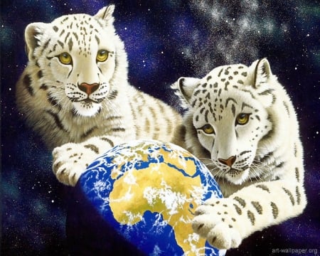 THE WHITE LEPARDS - white, big, jungle, cats