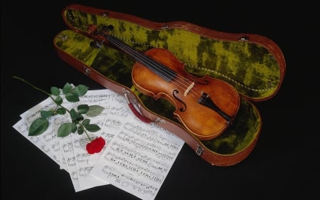 Musical Still Life - music, violin, rose, case