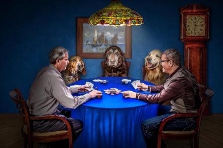 Pokerfaces - cards, dogs, table, poker, gambling