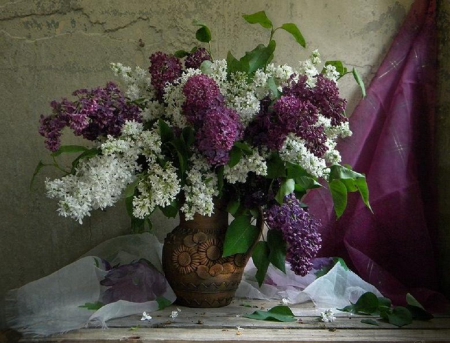 purple and white - white, purple, flowers, still life, lilacs