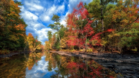 still river in autumn - autumn, forest, reflection, river, rocks