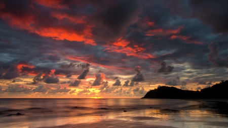 stupendous sunset at sea - clouds, beach, trees, sunset, sea, colors