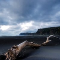 driftwood on a beautiful black sand beach