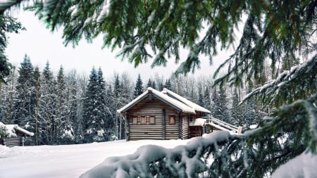 lovely log home in winter - house, forest, winter, logs