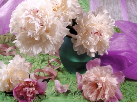 Ribbon and peonies - ribbon, peonies, pink, flowers, vase