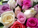 Flower bouquet of mixed roses