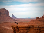 cowboy in a monumental desert