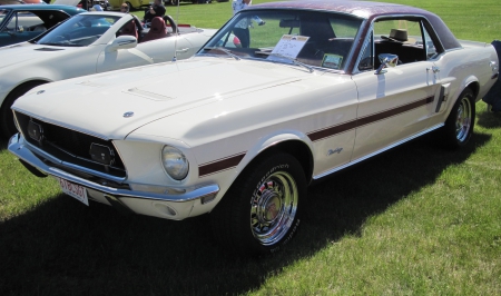 1968 Ford Mustang Coupe - black, Ford, white, tires, headlights, photography