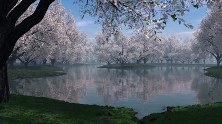 paradise - trees, white, water, nature, spring, lakes