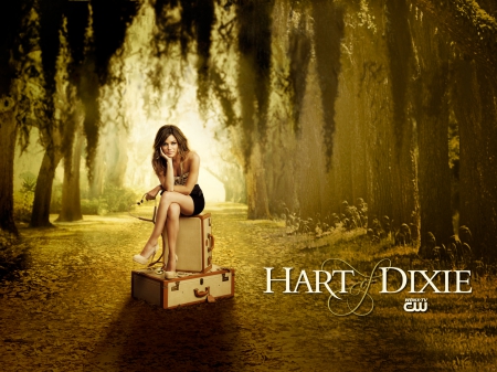 Hart Of Dixie - actresses, models, people, tv series, entertainment, beautiful, rachel bilson, hart of dixie, celebrity, dress