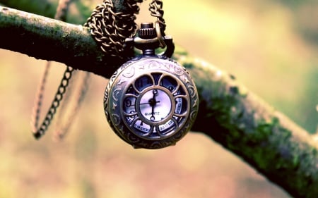 Watch - photo, tree, watch, time