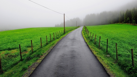 Mist Road - sky, road, mist, fence