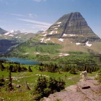 Hidden Lake, Glacier National Park
