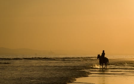 Old times - water, yellow, summer, beach, sea, ocean, man, horse, old times, animal, vintage