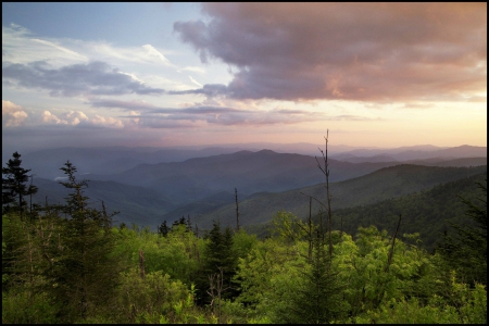 sunset - forest, fun, sunset, nature, mountain